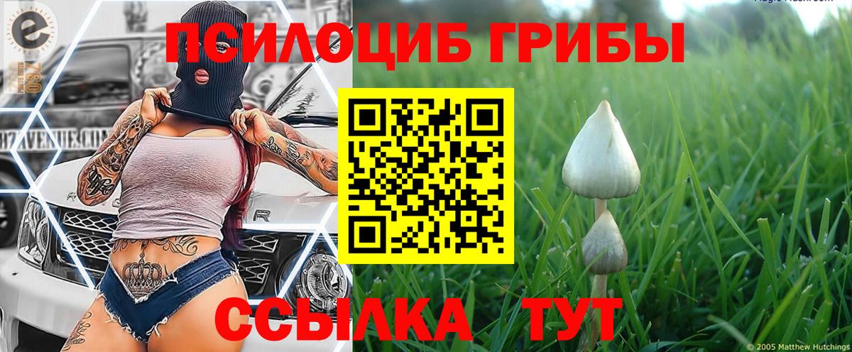 Галлюциногенные грибы Psilocybine cubensis  Вход с VPN  Алексин  Псилоцибиновые грибы ЛСД 