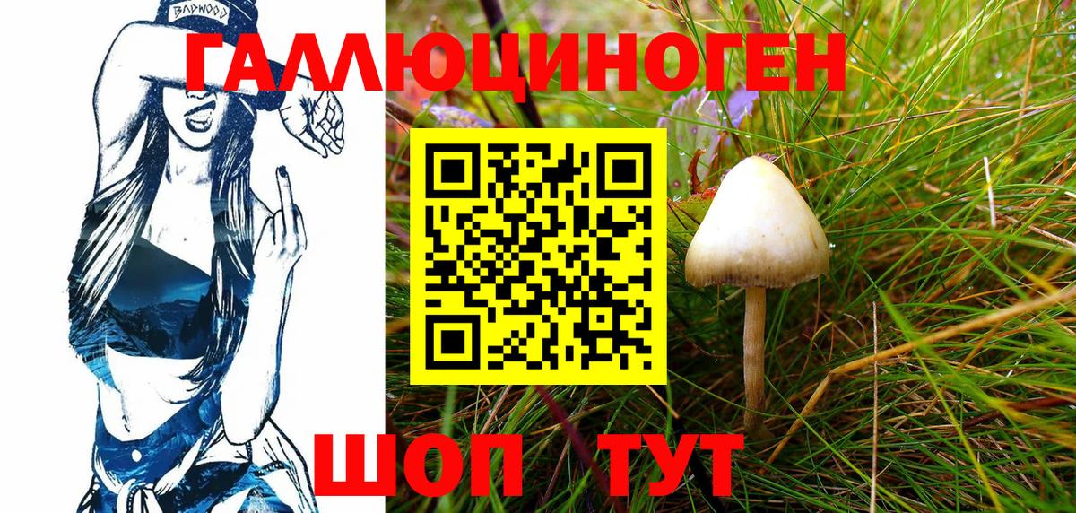 Псилоцибиновые грибы Magic Shrooms Алексин
